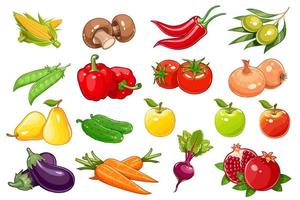 des légumes et des fruits ensemble dans Couleur réaliste style. Naturel biologique aliments. vecteur