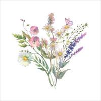 aquarelle Prairie fleurs bouquet de camomille, liseron, sauge et thym, et violet papillon. main peint floral affiche de fleurs sauvages isolé sur blanc Contexte. vecteur