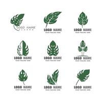 conception de vecteur de logo feuille monstera