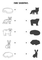 trouver le correct ombres de noir et blanc Arctique animaux. logique puzzle pour enfants. vecteur