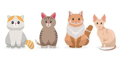 chat dessin animé. animal de compagnie personnages illustration vecteur