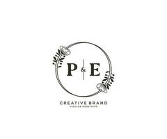 initiale pe des lettres main tiré féminin et floral botanique logo adapté pour spa salon peau cheveux beauté boutique et cosmétique entreprise. vecteur