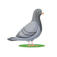 icône de pigeon gris