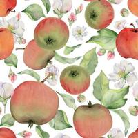 main tiré aquarelle Pomme des fruits, mûr, plein et tranches rouge et vert avec feuilles. sans couture modèle. isolé objet sur blanc Contexte. conception pour mur art, mariage, imprimer, tissu, couverture, carte. vecteur