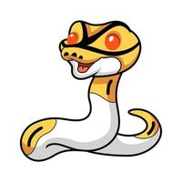mignonne albinos pie Balle python dessin animé vecteur