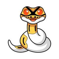 mignonne albinos pie Balle python dessin animé vecteur