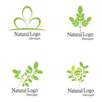 ensemble de modèles de logo feuille icône vector illustration design