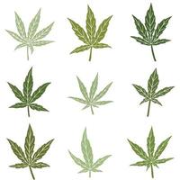 collection de design plat de dessin à main levée de feuille de cannabis de simplicité. vecteur