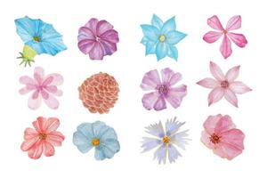 tout sortes de fleurs collection, main tiré aquarelle vecteur illustration pour salutation carte ou invitation conception