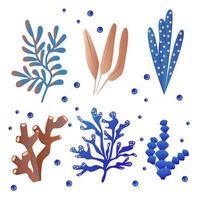 dessin animé océan les plantes. anémones, coraux et algue, Marin varech, aquarium les plantes. sous-marin récif flore vecteur illustration Icônes ensemble