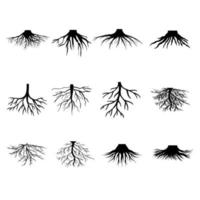 racine vecteur icône ensemble. arbre illustration signe collection. herbes symbole.