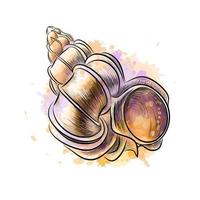 coquille de conque d'une éclaboussure d'aquarelle, croquis dessiné à la main. illustration vectorielle de peintures vecteur