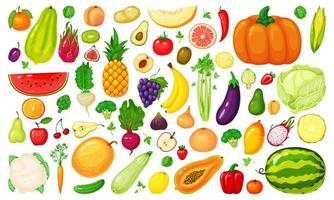 dessin animé des fruits et des légumes. brocoli, carotte, chou, betterave, kiwi, abricot, mangue. Frais biologique légume, fruit tranches vecteur ensemble