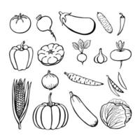 collection de légumes dessinés à la main, éléments isolés sur le blanc. illustration vectorielle. vecteur