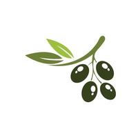 illustration vectorielle d & # 39; icône olive vecteur