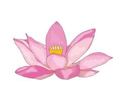lotus rose peint au pinceau, fleurissant sur fond blanc. icône, image vectorielle isolée sur fond blanc vecteur