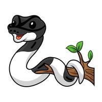 mignonne Panda pie Balle python dessin animé sur arbre branche vecteur