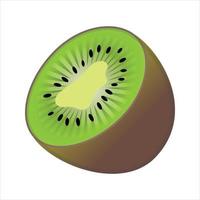 kiwi fruit illustration vecteur