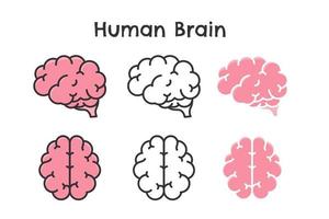 vecteur de cerveau humain symbole ondulé de l & # 39; apprentissage de l & # 39; intelligence et une attitude optimiste