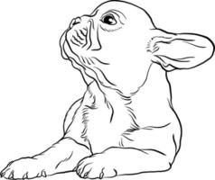 français bouledogue chiot griffonnage style vecteur illustration ligne dessin noir et blanc