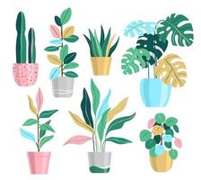 ensemble de plantes en pot, illustrations de plantes à la maison vecteur