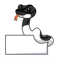 mignonne Panda pie Balle python dessin animé avec Vide signe vecteur