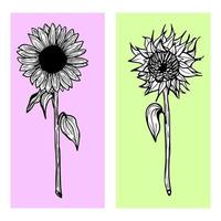 tournesols dessinés à la main sur fond coloré vecteur