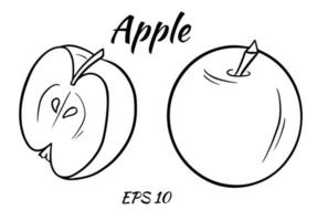 illustration vectorielle d'une pomme. tranches de pomme isolé sur fond blanc. vecteur