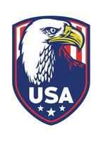 chauve Aigle badge de Etats-Unis vecteur