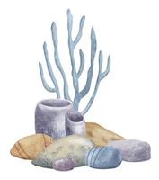 coraux et fond marin des pierres sur isolé Contexte. main tiré aquarelle illustration avec mer sol et algues pour icône. sous-marin coloré dessin pour clipart. sous-marin esquisser dans pastel couleurs vecteur