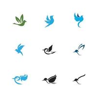 oiseau logo et symbole vecteur