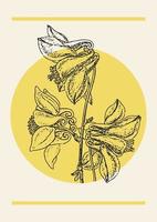 fleur ancolie aquilège branche esquisser illustration affiche. vecteur