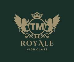 d'or lettre tm modèle logo luxe or lettre avec couronne. monogramme alphabet . magnifique Royal initiales lettre. vecteur