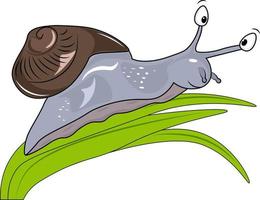 escargot illustration sur vert feuille vecteur