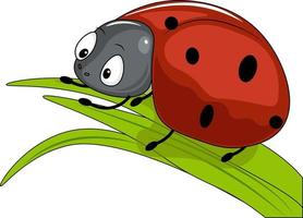 coccinelle illustration sur vert feuille vecteur