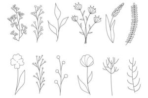 collection d'éléments floraux simples minimalistes. croquis graphique. conception de tatouage à la mode. fleurs, herbe et feuilles. éléments naturels botaniques. illustration vectorielle. contour, ligne, style de griffonnage. vecteur