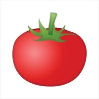 vecteur d'illustration de tomate