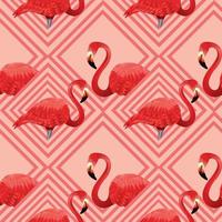 modèle sans couture tropical avec des flamants roses vecteur