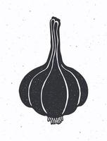 silhouette de entier tête de Ail. vecteur illustration. condiment pour légume salade