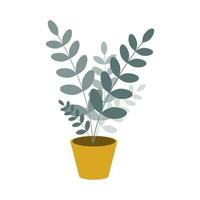 fleur d'intérieur en pot, zamioculcas sur fond blanc. illustration vectorielle dans un style plat vecteur