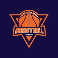 moderne professionnel basketball équipe logo vecteur