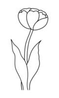 contour tulipe fleur isolé sur blanc Contexte vecteur