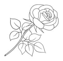 contour Rose isolé sur blanc Contexte. vecteur illustartion