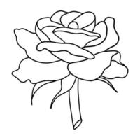 contour Rose isolé sur blanc Contexte. vecteur illustartion