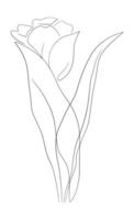 tulipes ligne art dessin vecteur