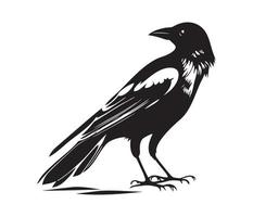 noir des oiseaux corbeau, corbeau, tour ou choucas. vecteur illustration dans rétro style