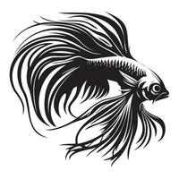 betta poisson vecteur illustration, combat poisson logo conception