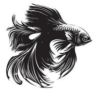 betta poisson vecteur illustration, combat poisson logo conception