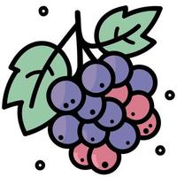 des fruits bouquet de violet les raisins vecteur