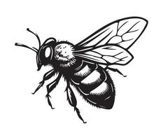 mon chéri abeille icône, mon chéri abeille silhouette vecteur